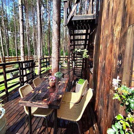 Lesny Domek W Stylu Scandi Z Jacuzzi Nad Jeziorem Kaszuby Grzybowo  Екстериор снимка