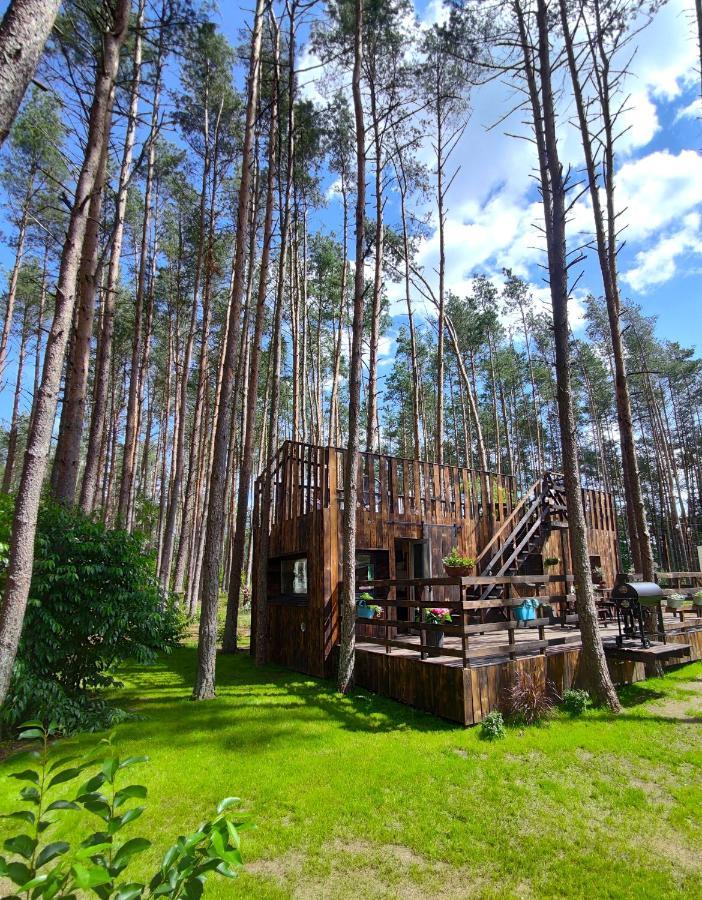 Lesny Domek W Stylu Scandi Z Jacuzzi Nad Jeziorem Kaszuby Grzybowo  Екстериор снимка