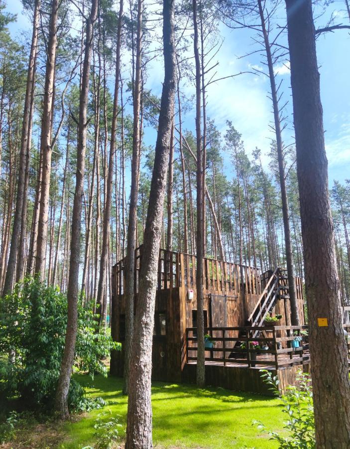 Lesny Domek W Stylu Scandi Z Jacuzzi Nad Jeziorem Kaszuby Grzybowo  Екстериор снимка